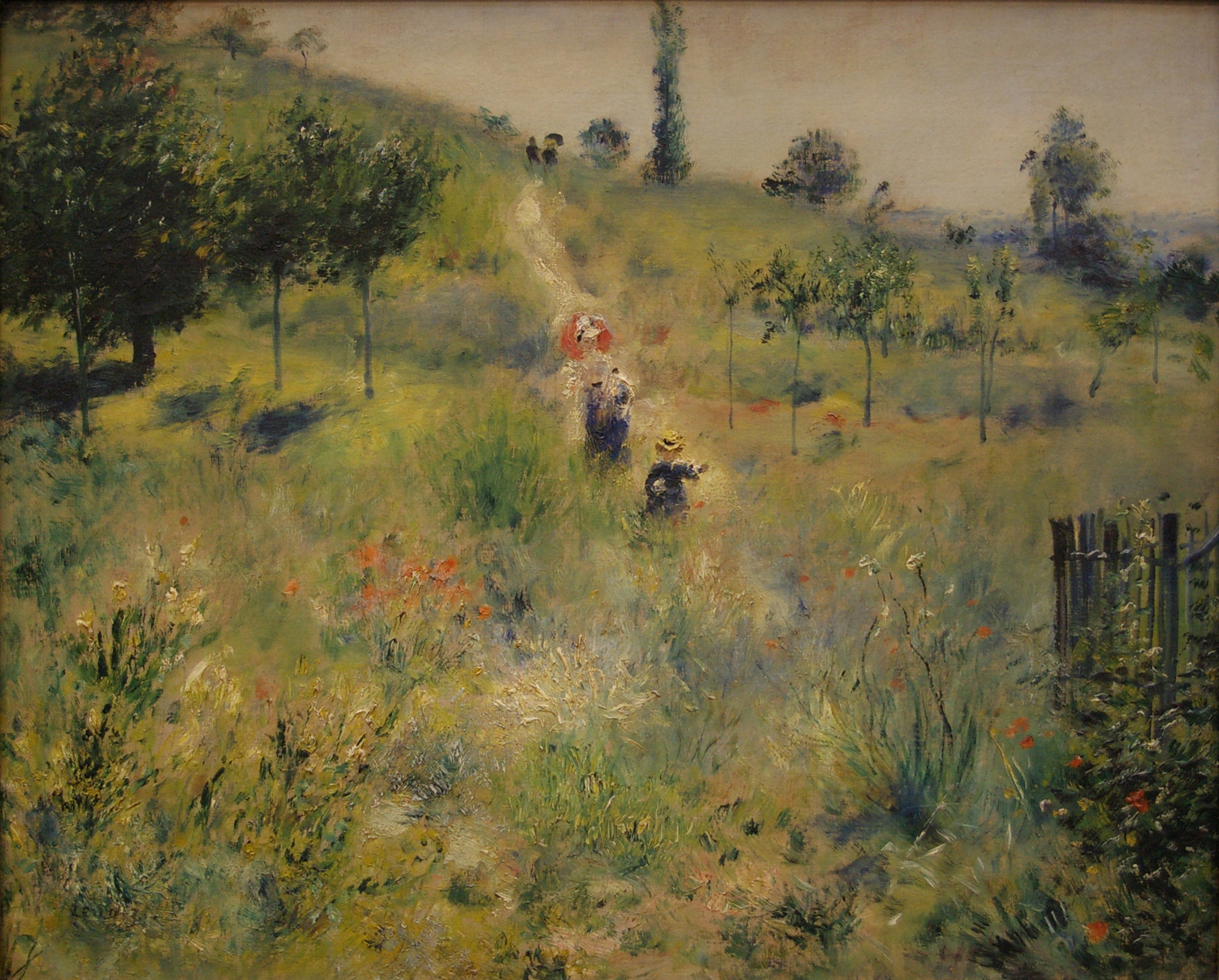 Chemin montant dans les hautes herbes