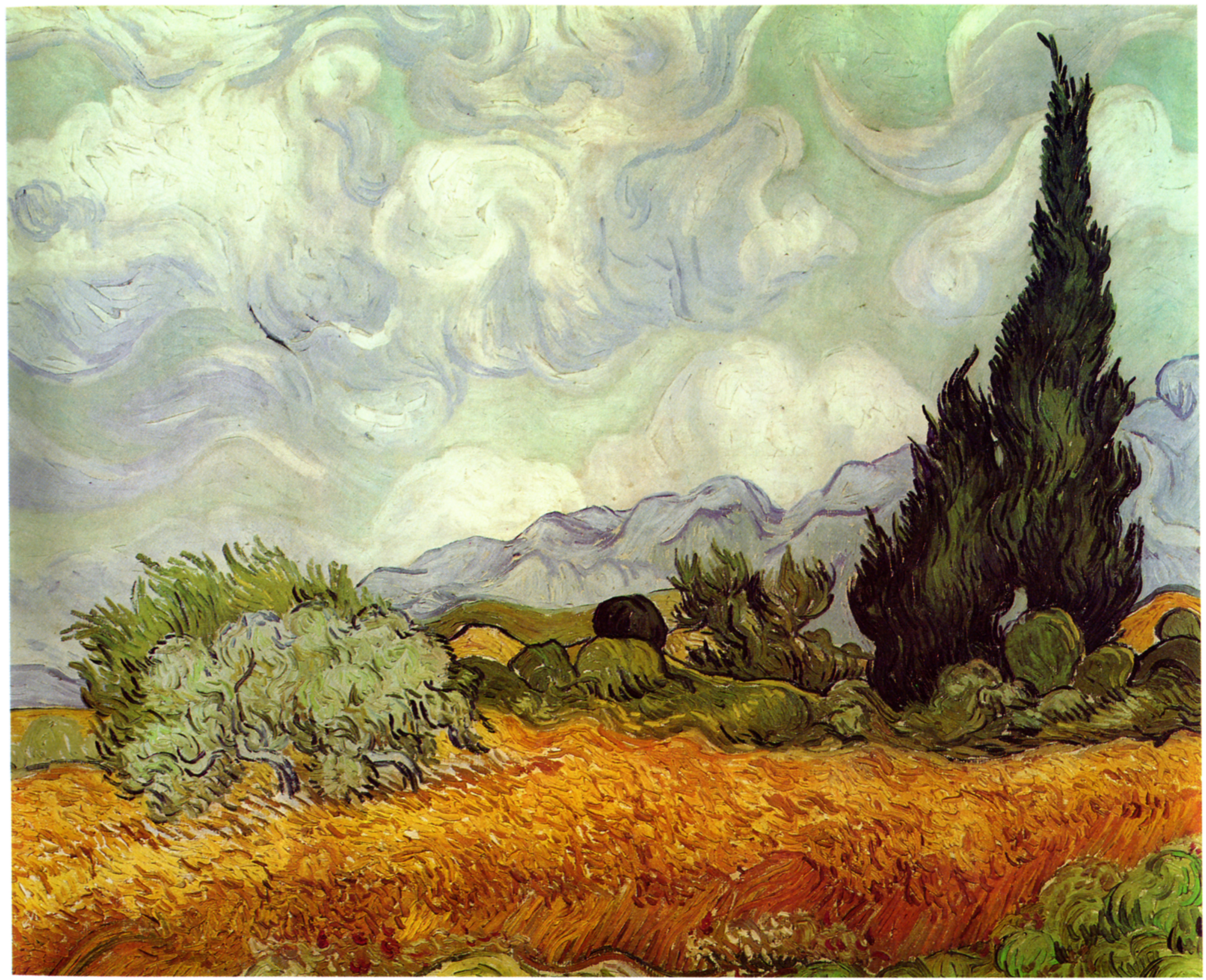 Cornfield with Cypresses