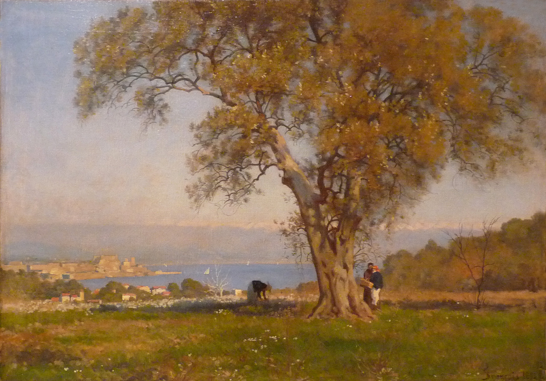 Vue d'Antibes