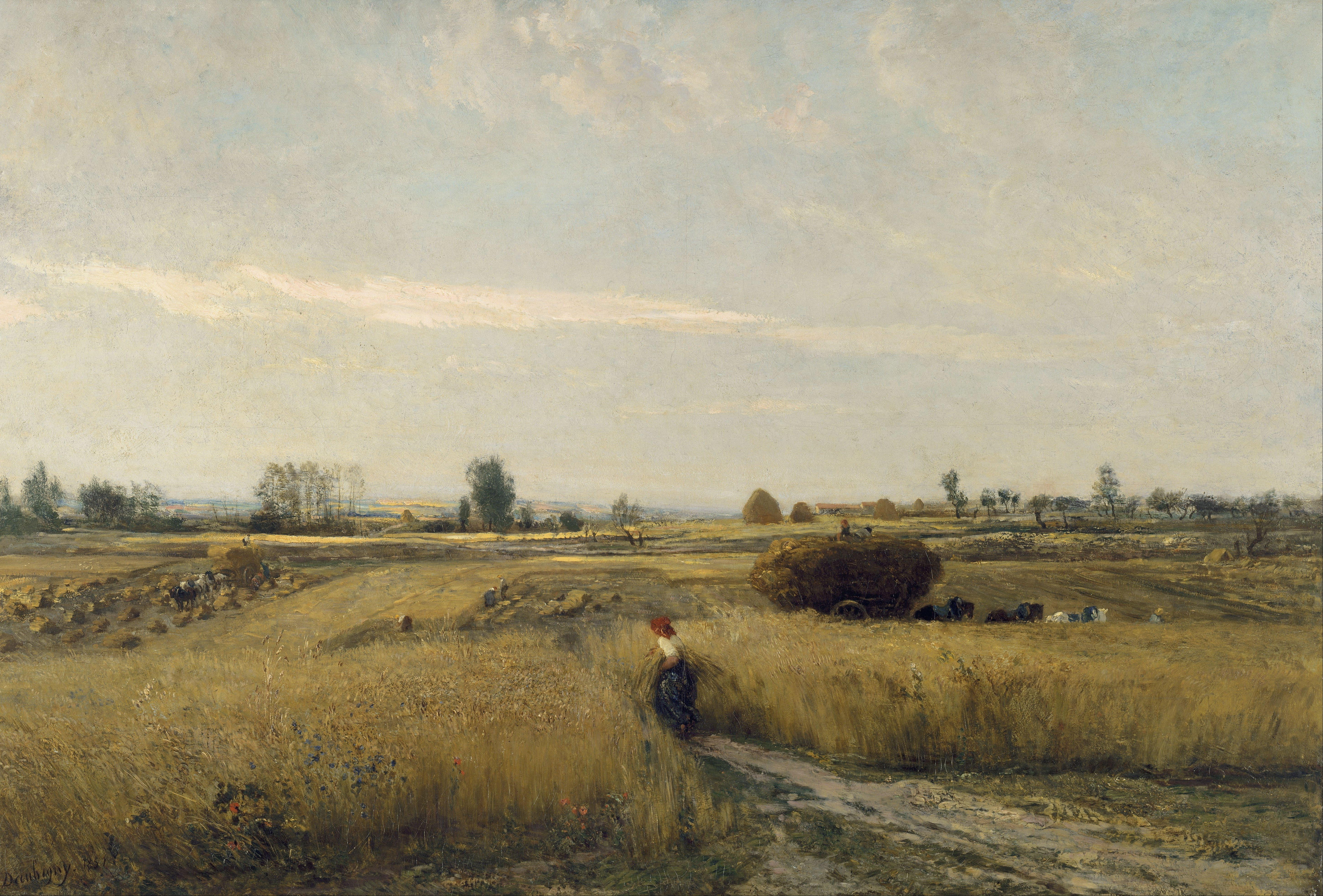 Moisson