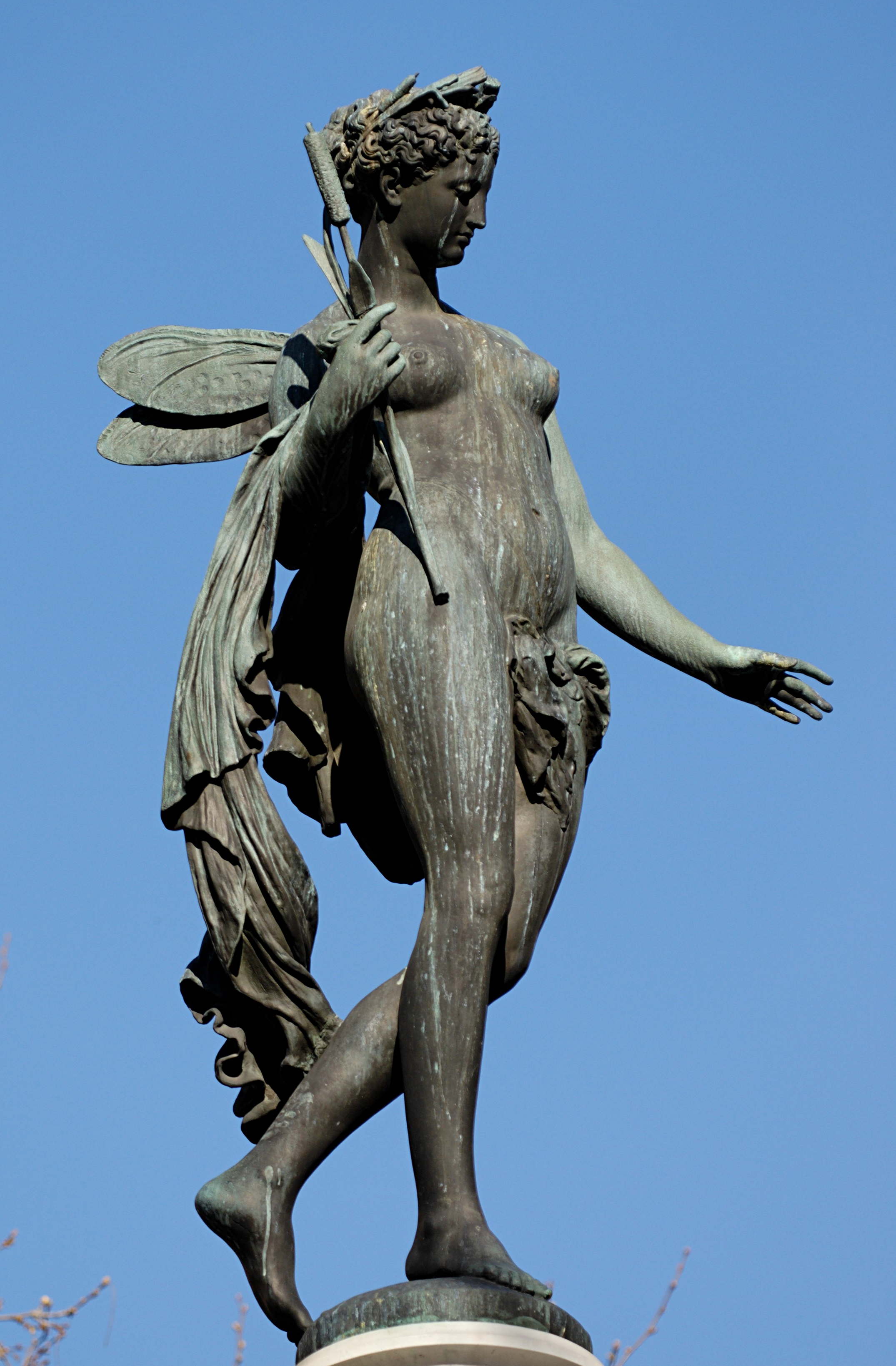 Nymphe fluviale