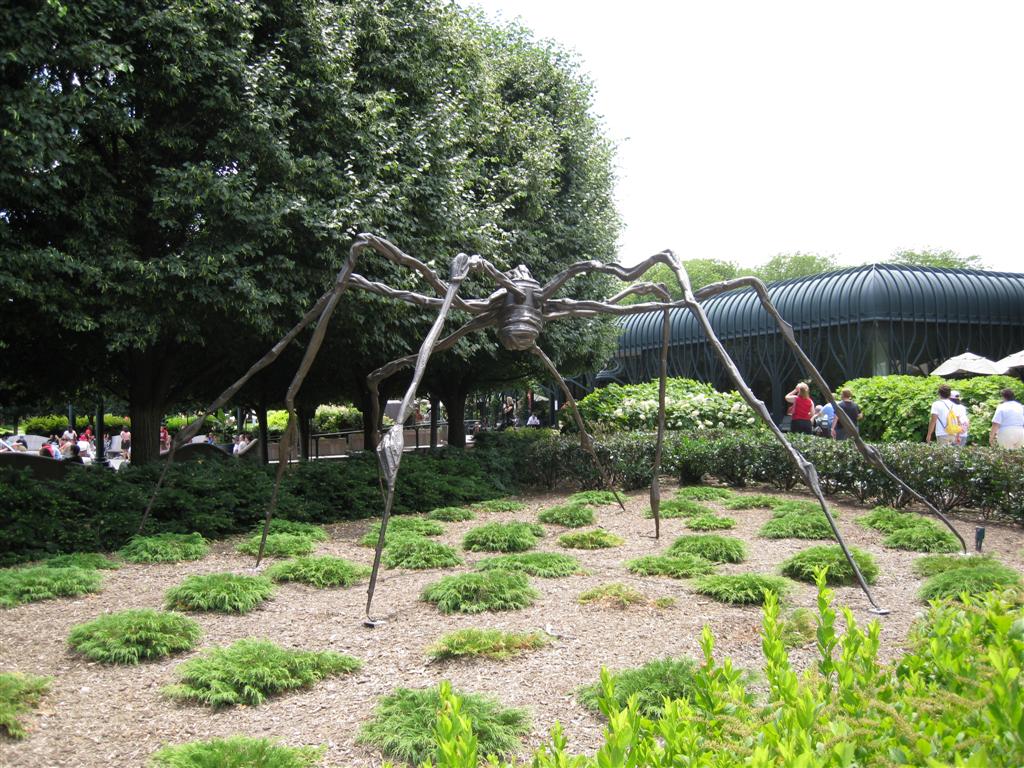Spider