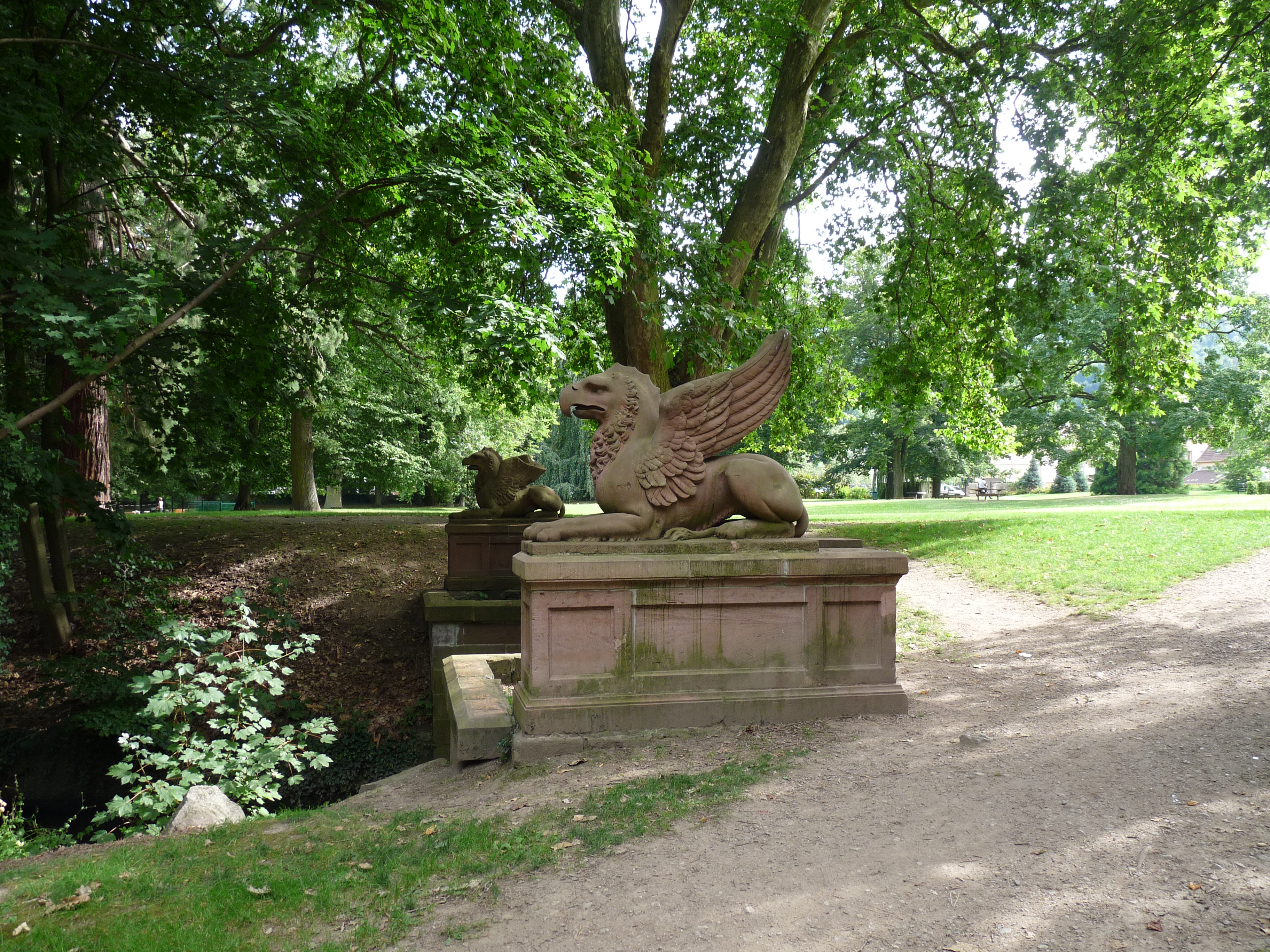 Griffon