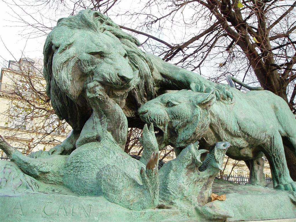 Lion et lionne se disputant un sanglier
