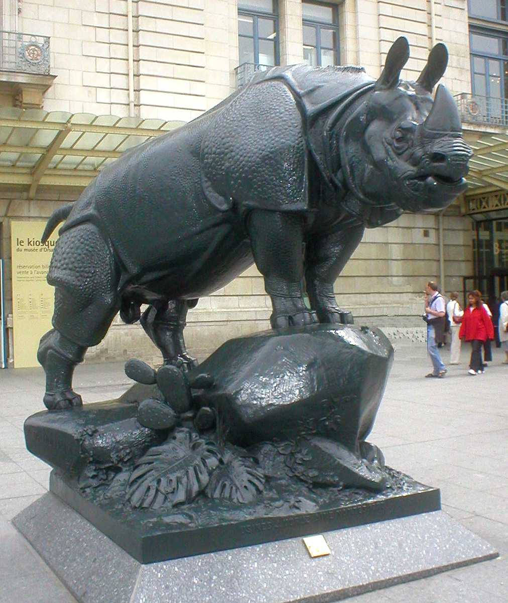 Le Rhinocéros