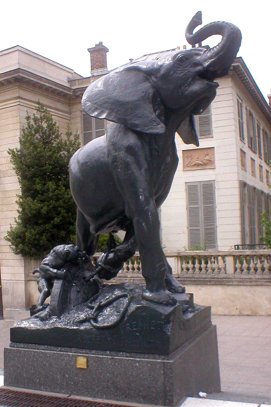 Le jeune éléphant pris au piège