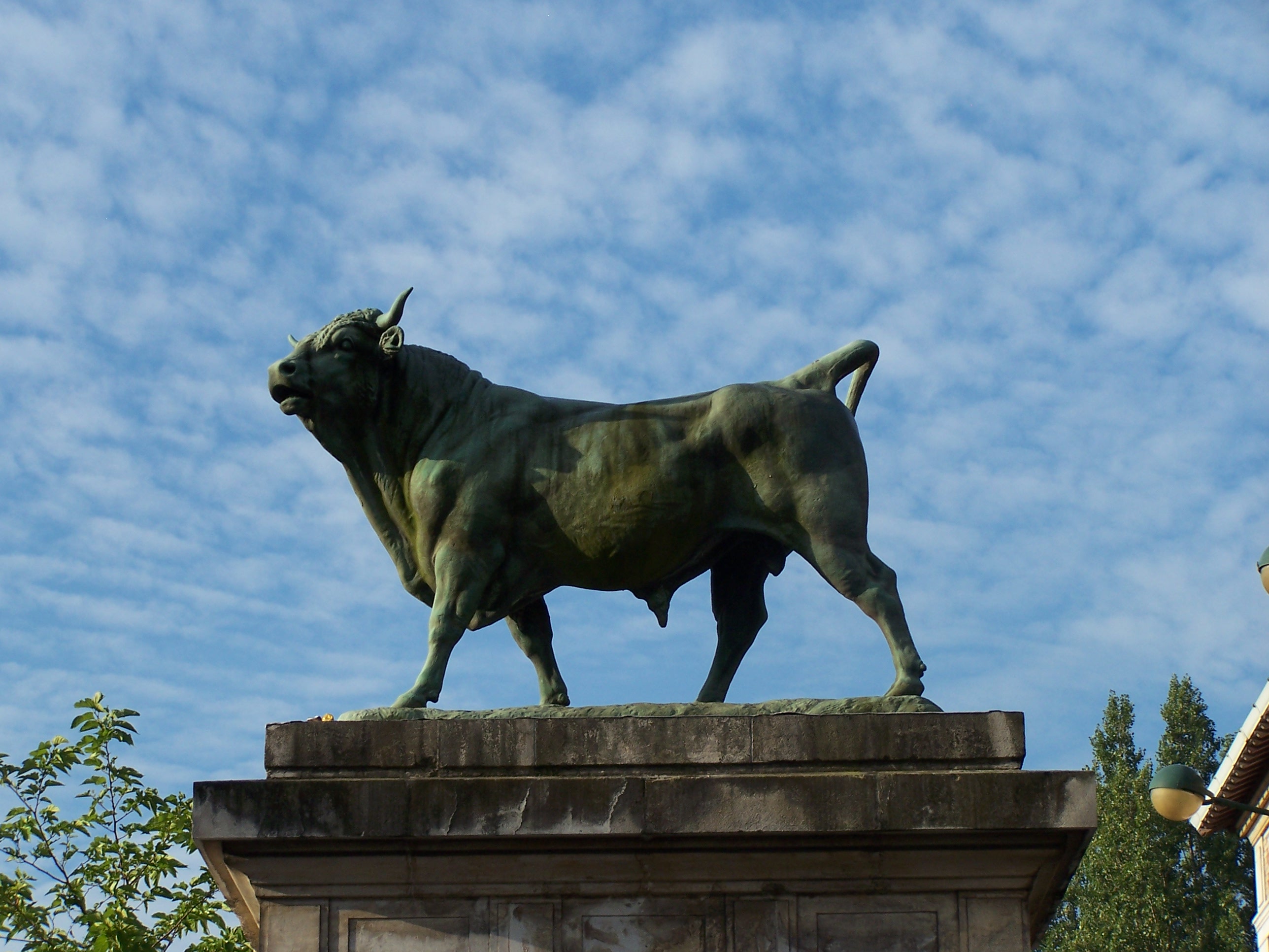 Les taureaux